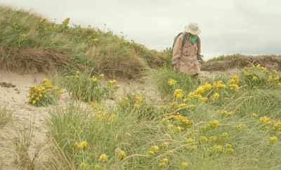 All the manure they leave - Geographies of Solitude