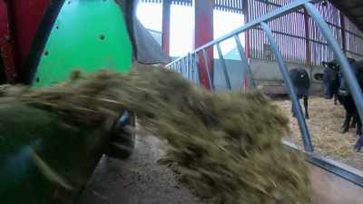 All the mixed-up
feed shoots out - Tractor Ted