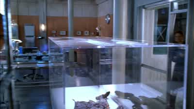 All the trace evidence has been stripped. - Bones