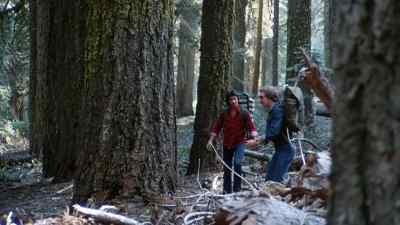 - All the turns we're taking.
- Yes, do you want to go? - The Forest