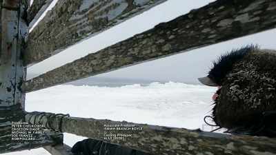 All the way down to
the smallest animal - Life Below Zero: First Alaskans