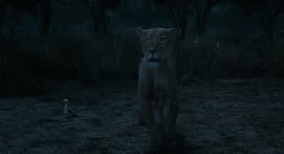 All the way to MileleMilele is nothing but a myth It's not a mythCircle of Life and fairy tale herdsYou're chasing something Honestlythat doesn't exist As IfI don't know that Milele exists but right nowit's the only hope we haveWe don't need hope We need - Mufasa: The Lion King