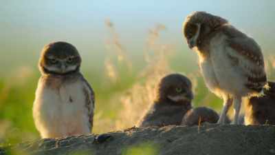 All the while,
the parents have their backs, - Super/Natural