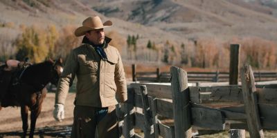 - All these cows are heifers. - Yellowstone