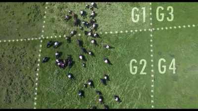 All these paddocks correlate
with a map that I have here. - Kiss the Ground