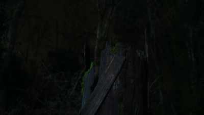 All things must pass. - Creepshow