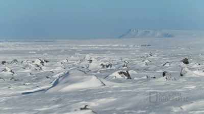 All this, uh, ice, locked in, - Life Below Zero: First Alaskans
