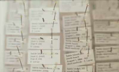 All those jars
on that counter - Geographies of Solitude