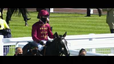 All those trainers
turn up at Newmarket, - Horsepower