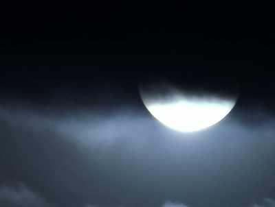 All time had frozen. - American Werewolves