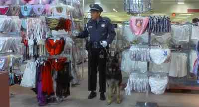 All units, code 2.
Perpetrator on main floor. - Mannequin
