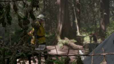 All that weed on that other kid, - Fire Country