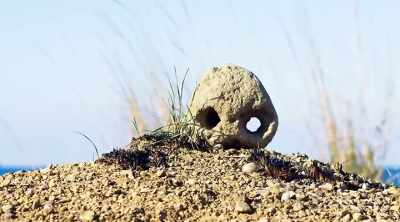 All with similar burial
artifacts found with them. - Alien Worlds: Giants and Hybrids