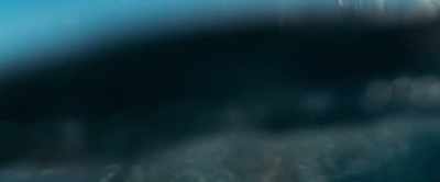 [all yelling] - Shark Bait