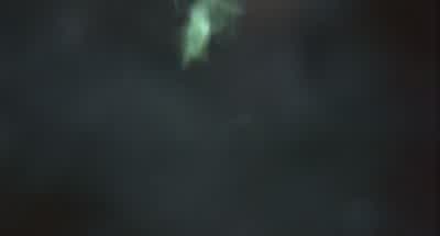 All you had to do was fix the ship! - Ghost Ship
