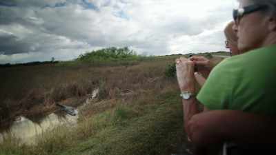 Alligators have not changed
for over 200 million years. - United States of Animals