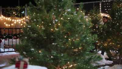 Allison: Yeah. I've been coming
to this tree lot for years now. - The Jinglebell Jubilee