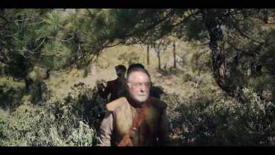 Allow me to wander aimlessly
into this thicket - The Witcher