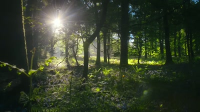 'Allowing the land to reawaken... - A Year on Planet Earth