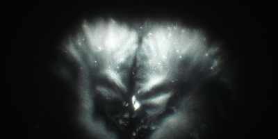 Allowing whales to see one another
through sound. - Fathom