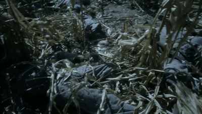 Almost 4,000 killed
and 17,000 wounded. - Blood and Fury: America's Civil War