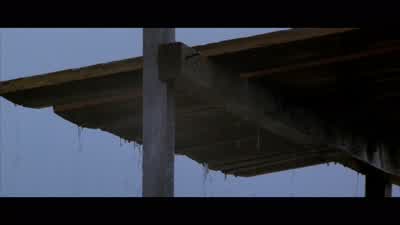 Almost a month and no one has come. - Dances with Wolves