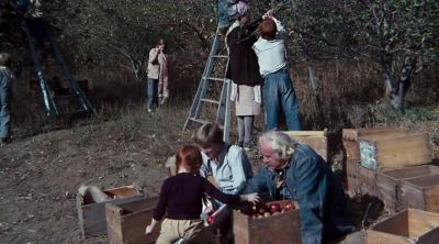 Almost got them. - The Waltons