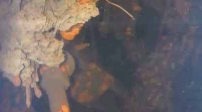 ...ALMOST STALACTITE-LIKE
FORMATIONS - Mysteries of the Deep