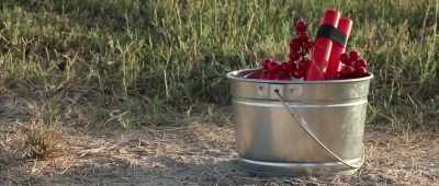 Alone with nothing but a stick of
dynamite, a metal bucket and some string. - Cowgirls vs  Pterodactyls