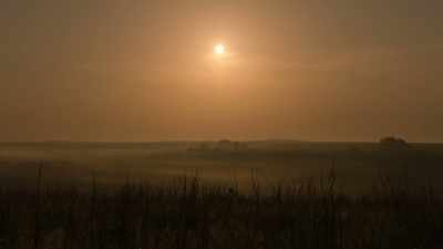 Along the way, they learned
their Sun Dance from the Crows. - The American Buffalo