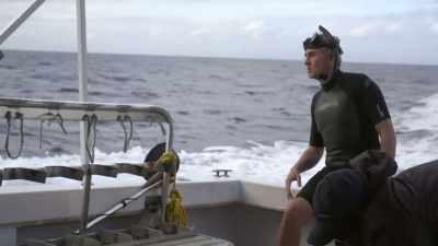 "Alongside Shane, fellow
National Geographic Explorer" - Secrets of the Whales