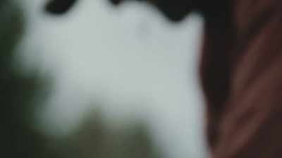 Alongside that, - Missing 411: The Hunted