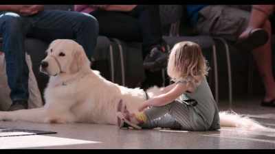 Already, I see some kids in here - Dogs