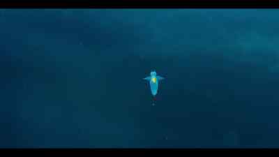 Also known as a sea angel. - Our Oceans