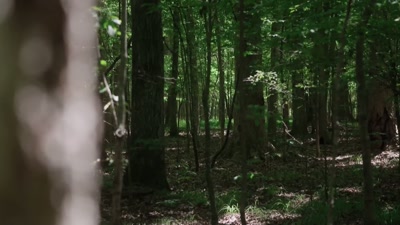 Also on the scene was Brandy
with her cadaver dog, Rock. - Killers: Caught on Camera