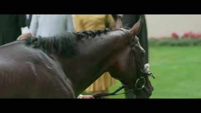 Although Andrew didn't
have a winner on day three, - Horsepower