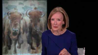 Although they came
perilously close to extinction, - The American Buffalo