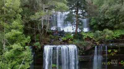 Although it can rain most days, - David Attenborough's Tasmania