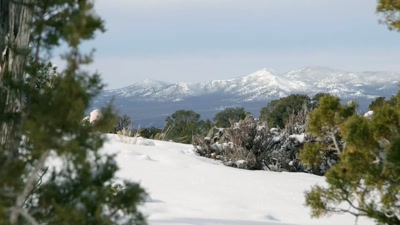 Although it's a slower process, - Beyond Skinwalker Ranch