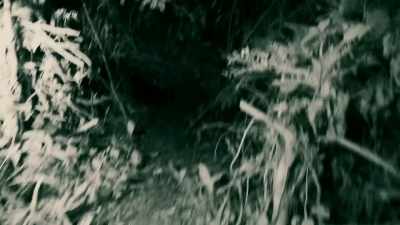 ALTHOUGH MY INFRARED CAMERA
CAN SEE THROUGH THE PITCH BLACK, - Expedition Mungo