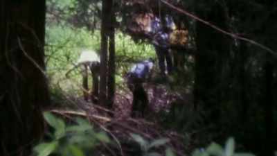 [Aluffi] Back in Santa Cruz,
we asked him - The Co-Ed Killer: Mind of a Monster