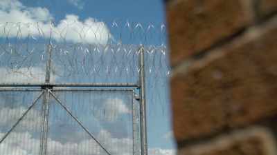 Alvin ended up serving
9- and-a-half years in prison, - The Wrestlers