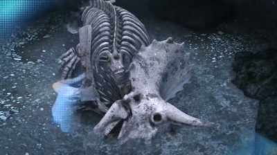 ALWAYS EXCITING
WHEN YOU FIND SCULL PIECES. - Dino Hunters
