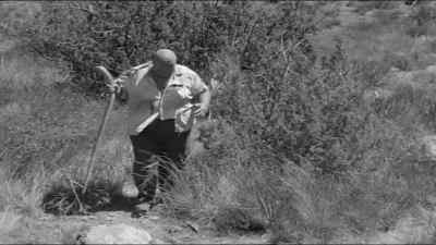 Always on the prowl, - The Beast of Yucca Flats