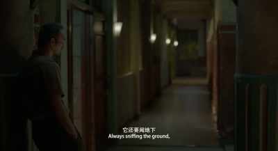 Always sniffing the ground,
and the ground is hot. - Long Day's Journey into Night