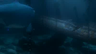 Anchor ChumThere you are Bruce FinallyWe got company It's about time mateWe've already gone through the snacksand I'm still starvingWe almost had a feeding frenzyCome on let's get this over with - Finding Nemo