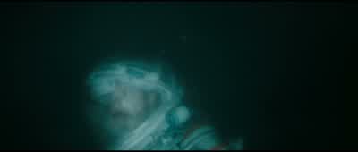 Am I cracking up or is there, like, like, a bird chirping right now? - Underwater