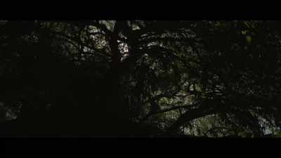 Am I screaming? - Fever Dream