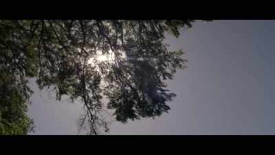 Amanda, are you all right? - Fever Dream
