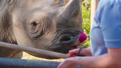 Amanda: "look at my lip gloss!" - Secrets of the Zoo